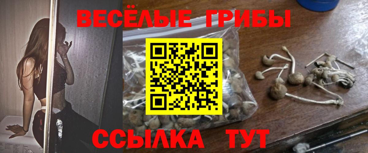 закладки  Вход с VPN  Алапаевск  Галлюциногенные грибы MAGIC MUSHROOMS 